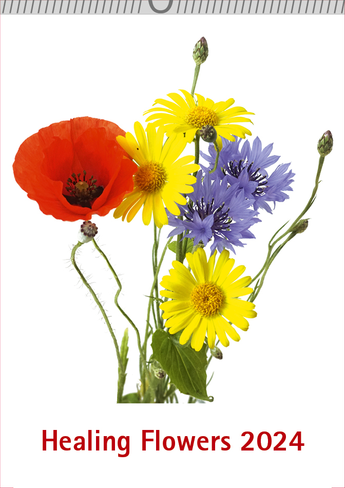 Healing Flowers Cakendar 2024 Cover